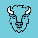 Bison Germany